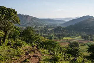 Paysages — scène fictive générée pour la démonstration.